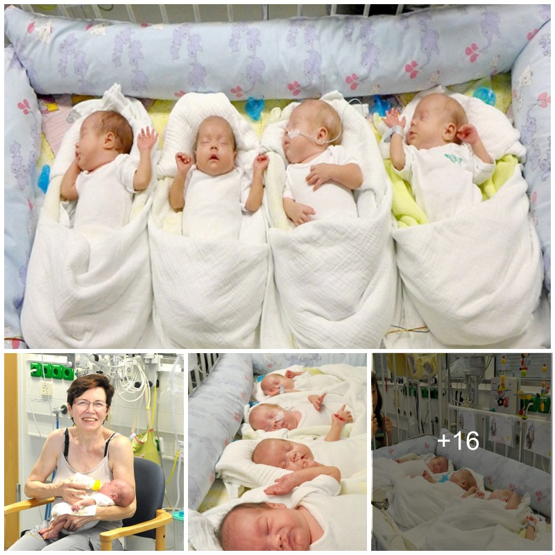 Unbelievable Blessing 65 Year Old Mother Of 13 Welcomes Quadruplets