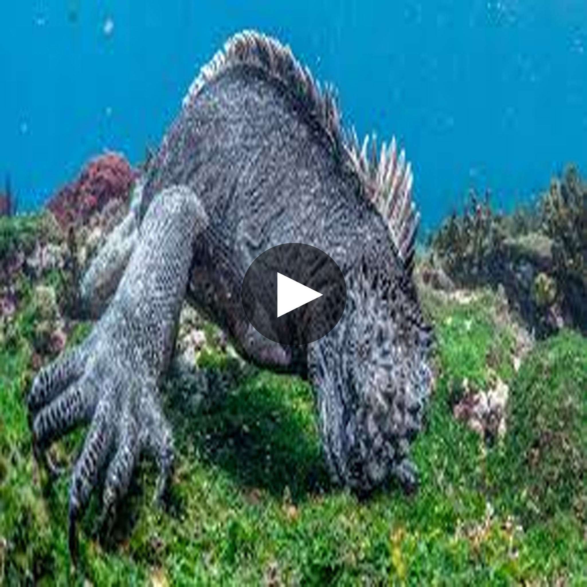 Unveiling Berigalaxy: Stanford'S Astonishing Discovery - 4kekx4d